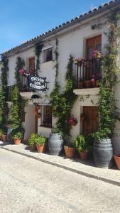 Los Estribos