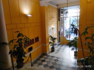 パレルモにあるホテル デル チェントロの黄色の壁と鉢植えの廊下