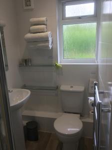 łazienka z toaletą, umywalką i oknem w obiekcie Rothay House w mieście Ambleside
