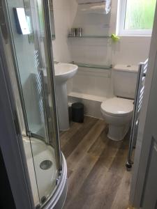 uma casa de banho com um chuveiro, um WC e um lavatório. em Rothay House em Ambleside