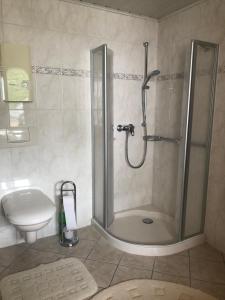 a bathroom with a shower and a toilet at Ferienhaus in Sankt Aldegund +7 photos