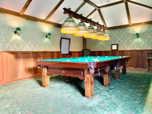 Biliár nebo kulečník v ubytování Hotel Sofia
