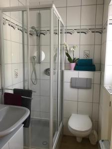 y baño con ducha, aseo y lavamanos. en Ferienhaus Moselglück - kostenlose ÖPNV-Nutzung inbegriffen, en Bernkastel-Kues