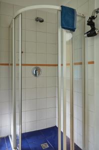 y baño con ducha y puerta de cristal. en Villa In Bio Garden - You Will Save Money Here, en Praga