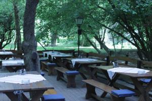 rząd stołów piknikowych w parku z drzewami w obiekcie Koloska apartmanház w Balatonfüred
