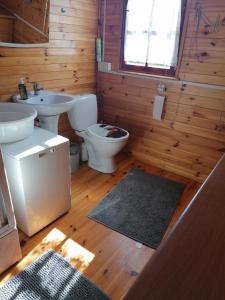 a bathroom with a toilet and a sink at Domek Jantar in Jantar