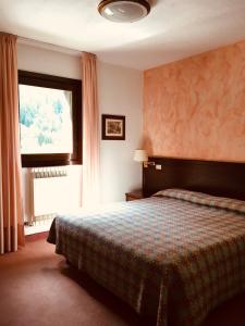 um quarto com uma cama e uma janela em Hotel Parco Nazionale em Valsavarenche