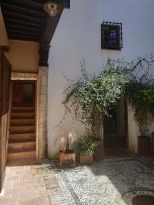 una entrada a un edificio con ventana y plantas en Fery & Nico, en Granada