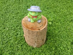 a toy frog wearing a hat sitting on a tree stump at Elder Villa in Bran