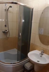 a bathroom with a shower and a sink and a tub at Ідилія in Zhensna Polʼska