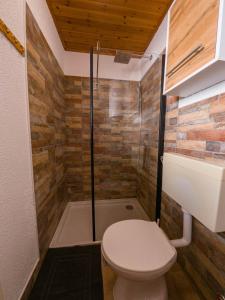 a bathroom with a toilet and a shower at Holiday house Tinca in Most na Soči +30 photos