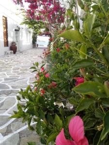 einen Garten mit rosa Blumen auf einem steinernen Gehweg in der Unterkunft Mare Monte in Chora, Ios