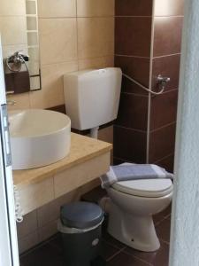 uma casa de banho com um WC e um lavatório em Pantheon Beach Hotel em Olympiakí Aktí