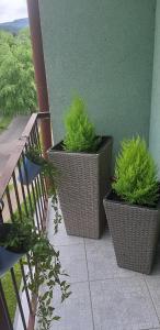 Vonkajšia záhrada v ubytovaní Blue Sky Apartament