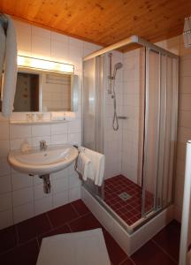 a bathroom with a shower and a sink and a shower at Landhaus Schwaighofer Dachstein West in Russbach am Pass Gschütt