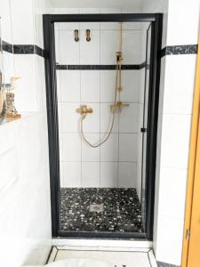 y baño con ducha y puerta de cristal. en Entspanntes Wohnen in Ostseenähe Studio 2, en Ratekau