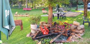 a garden with a fire pit in a park at Le Pavillon in Cours la Ville