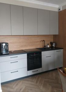 Kuchyňa alebo kuchynka v ubytovaní Apartament 53 Długie Ogrody Gdańsk