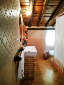ein Bad mit einem Waschbecken und einem WC in der Unterkunft Casa rural La Villa in Miranda del Castañar
