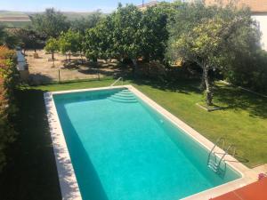 an empty swimming pool in a yard with trees at Vivienda Rural Olivar de San Telmo in Arcos de la Frontera