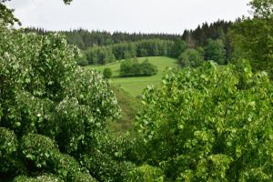 Príroda v okolí apartmánu