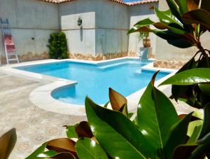 a swimming pool in a house with green plants at Hotel Rural Sisapo in Almodóvar del Campo
