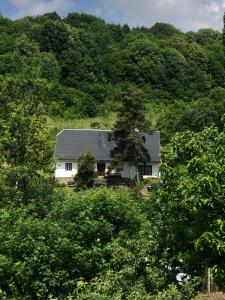 a white house in the middle of a forest at Chalupa U Veverek in Mladoňov