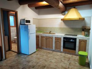 a kitchen with a blue refrigerator and a sink at Apartamentos Borda Falceto in Coscojuela de Sobrarbe