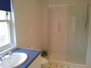 a bathroom with a sink and a shower at Hamsteels Hall Cottages in Langley Park