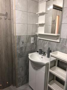 W łazience znajduje się umywalka, lustro i prysznic. w obiekcie Hippalos Domki Lux w mieście Jarosławiec
