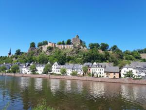 eine Stadt mit einem Schloss auf einem Hügel neben einem Fluss in der Unterkunft Ferienwohnung Emma in Konz