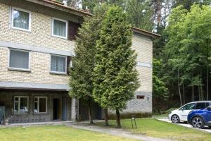 un gran árbol frente a una casa en Family-friendly 2 rooms apartment with view to a forest, en Juodkrantė