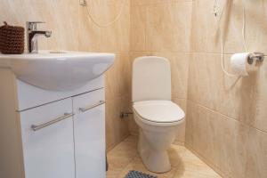 y baño con aseo blanco y lavamanos. en Family-friendly 2 rooms apartment with view to a forest, en Juodkrantė