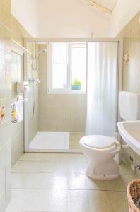 uma casa de banho com um chuveiro, um WC e um lavatório. em Solivo Farm em Cannobio