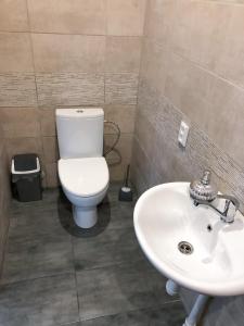 een badkamer met een toilet en een wastafel bij Marsas in Zarasai