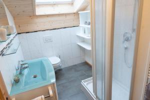 a small bathroom with a toilet and a shower at Pension Hartmann in Fischen