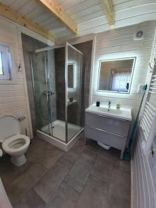 a bathroom with a shower and a toilet and a sink at Domek Aneczka Dębina in Dębina