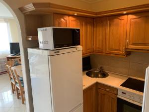 a kitchen with a microwave on top of a refrigerator at Delfin Apartman Balatonfüred in Balatonfüred