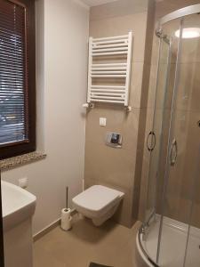 a bathroom with a toilet and a shower at Dwie Mewy in Pobierowo +10 photos