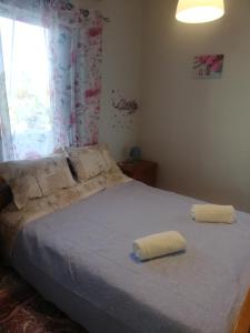 een slaapkamer met een bed met 2 kussens erop bij Iro - Kostas House 1 in Chalkida