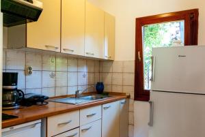 Kuchyň nebo kuchyňský kout v ubytování Villa Mediterranea - Apartments