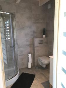 een badkamer met een douche en een toilet bij White Houses Rewal in Rewal