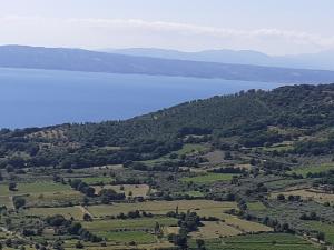 Fotografia z galérie ubytovania Belvedere v destinácii Montefiascone