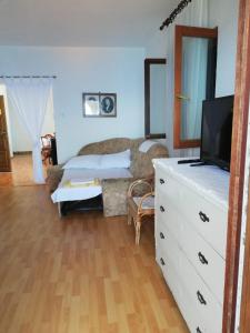 TV a/nebo společenská místnost v ubytování Apartments Alexa