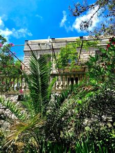 a building with a bunch of plants on it at Villa Kralj Mljet in Saplunara +42 photos