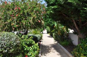 Jardín al aire libre en Praia Mar II