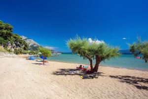 a beach with a tree and people laying on the sand at VILLA SKURA private heated pool 32m2, summer kitchen, 4 bedrooms, garden in Duće