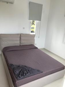 a large bed in a room with a window at Oasi Rejuve Poseidon in Meneou +4 photos