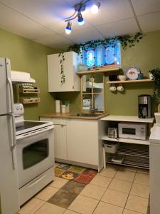 a kitchen with white appliances and green walls at Le 154 Jacques-Cartier in Gaspé