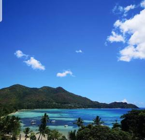 a view of a beach with palm trees and the ocean at Sea View Lodge in Baie Sainte Anne